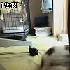 12時45分 ごろ