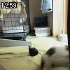 12時55分 ごろ