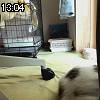 13時00分 ごろ