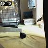 13時05分 ごろ