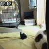 13時15分 ごろ