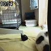 13時20分 ごろ