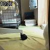 13時25分 ごろ