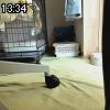 13時30分 ごろ