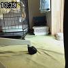 13時35分 ごろ