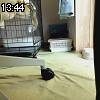 13時40分 ごろ