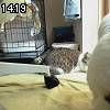14時15分 ごろ
