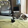 14時40分 ごろ