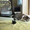 14時45分 ごろ