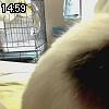 14時55分 ごろ