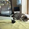 15時05分 ごろ