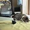 15時15分 ごろ