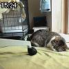 15時20分 ごろ