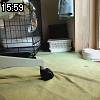 15時55分 ごろ