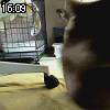 16時05分 ごろ