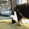 16時15分 ごろ