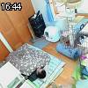 16時40分 ごろ