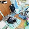 16時45分 ごろ