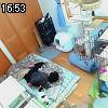16時50分 ごろ