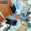 16時55分 ごろ