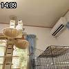 14時05分 ごろ
