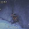 22時55分 ごろ