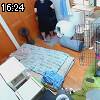 16時20分 ごろ