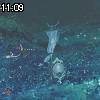 11時05分 ごろ