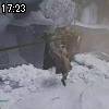 17時20分 ごろ