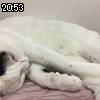 20時50分 ごろ