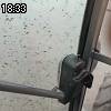 18時30分 ごろ