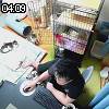 04時05分 ごろ
