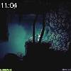 11時00分 ごろ
