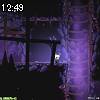 12時45分 ごろ