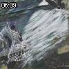 06時05分 ごろ