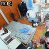 07時10分 ごろ