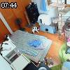 07時40分 ごろ