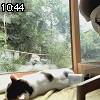 10時40分 ごろ