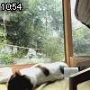 10時50分 ごろ