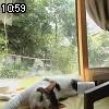 10時55分 ごろ