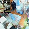 11時55分 ごろ