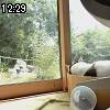 12時25分 ごろ