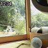 12時30分 ごろ
