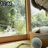 12時40分 ごろ