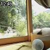 12時45分 ごろ