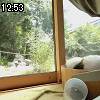 12時50分 ごろ