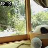 13時00分 ごろ