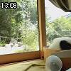 13時05分 ごろ