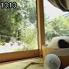 13時10分 ごろ
