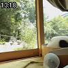 13時15分 ごろ